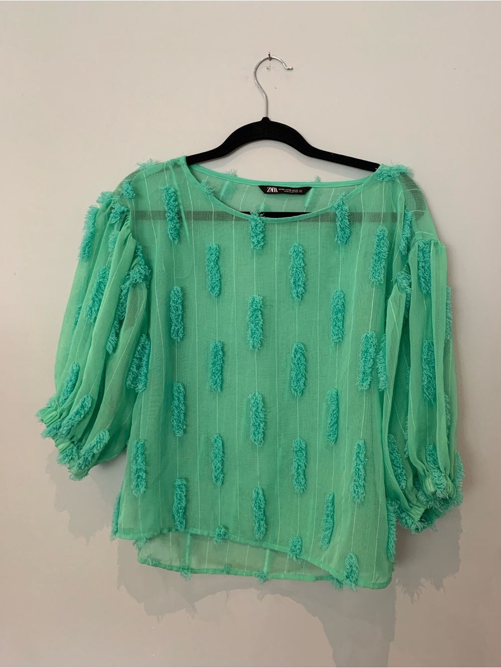 Zara Sheer Mint Green Puff Sleeve Blouse
